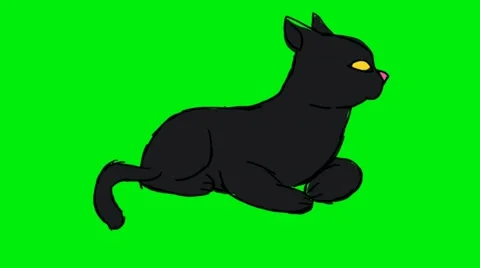 Black Cat - Animation - Hand-Drawn - Green Screen - Loop Stock Footage 67860611