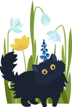 Black cat on a background of spring flowers vector Stock Illustration