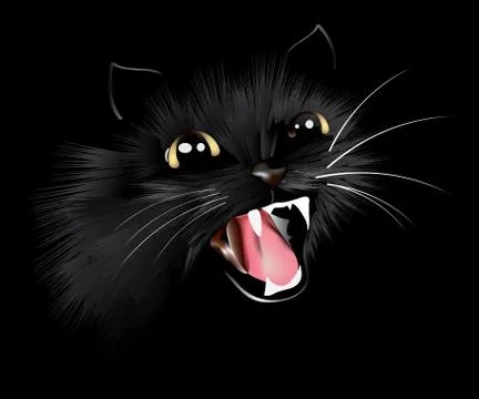 Black cat on a black background Stock Illustration