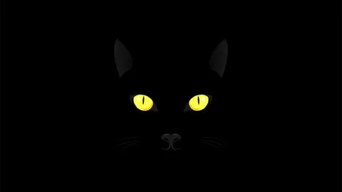 Black cat on black background vector stock Stock Illustration