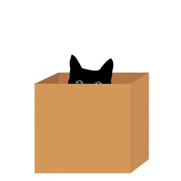 Black cat in a box Stock Illustration