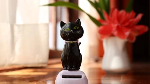Black cat dancing with flower vase 動画素材 109216513