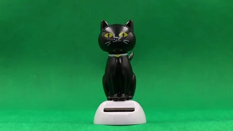 Black cat doll dancing 動画素材 106767764