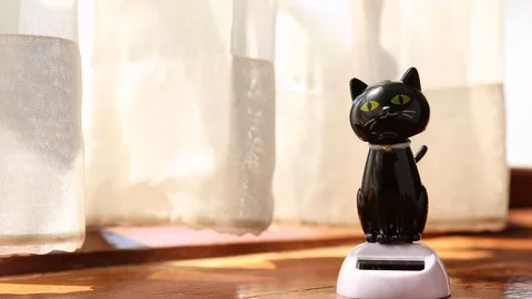 Black cat doll dancing 動画素材 107990591