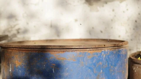 Black cat dreaming Video stock 71655455