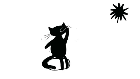 Black cat drinks Stock Footage 210465626