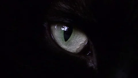 Black cat eye close-up. Stock Footage