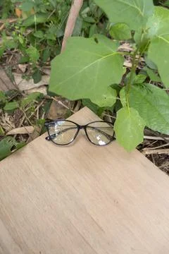 Black cat eye glasses frames on old wood. Cat's eye glasses frame in the phot Stock Photos