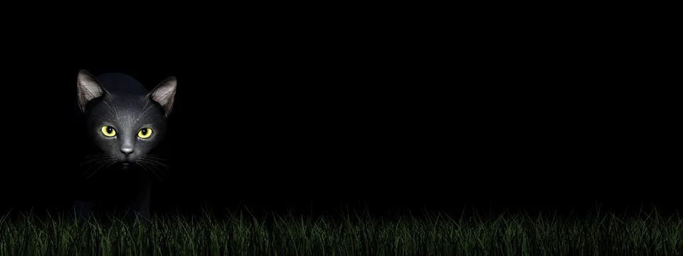 Black cat eyes - 3D render Stock Illustration