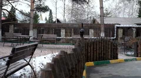 Black cat on a fence Stock Footage 61936649