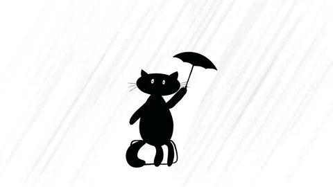 Black cat Stock Footage 210229186