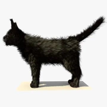 Black Cat with FUR 3D Model