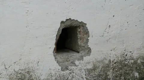 Black cat gets out from a hole in the wall. Stock Footage 8931561