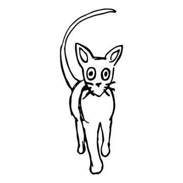 Black cat hand draw Stock Illustration
