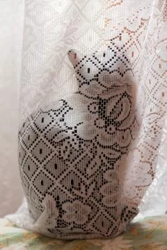 Black cat hidden behind a translucent white curtain Stock Photos