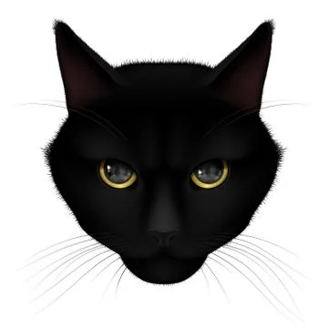 Black cat Stock Illustration