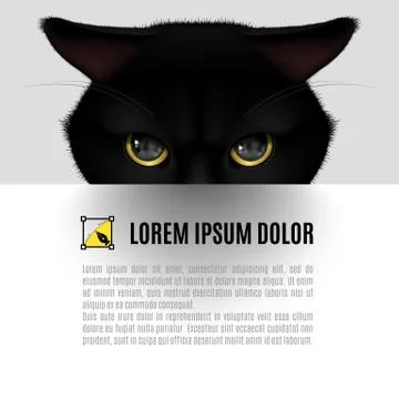 Black cat Stock Illustration