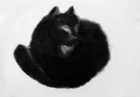 Black cat Stock Illustration