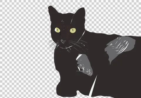 Black Cat 스톡 일러스트