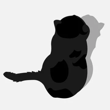 Black cat isolated Stock Illustration