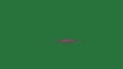 Black cat on it and hole in the middle small amount of dirt lot dots isolated Stock-Footage 336855824