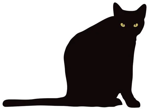 Black cat looking at camera Illustrazione stock