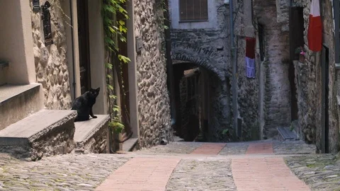 Black cat looking at lens in a quiet Italian Village Stock Footage 104837937
