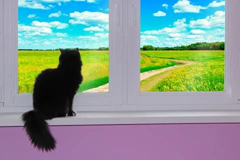 Black cat looking at window with view to rural road. Rural summer landscape Stock Photos