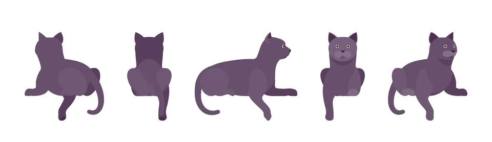 Black Cat lying Illustration