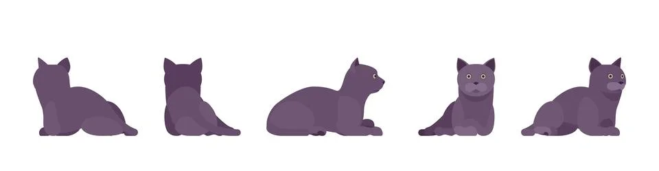 Black Cat lying resting Illustration