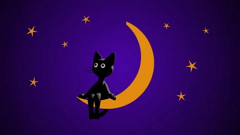 Black cat on the moon Stock Footage 254012009