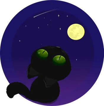 Black cat on the moon Stock Illustration