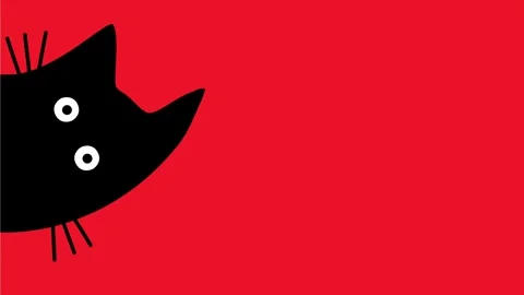 Black cat peeking from corner on solid red background Stock Footage 317603453