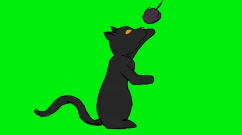 Black Cat playing with ball - Animation - Hand-Drawn - Green Screen - Loop Stock Footage
