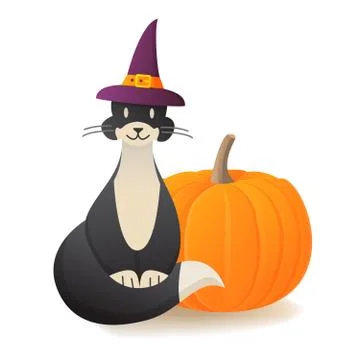 Black cat with pumpkin. Design element halloween holiday banner.Cute cat in a Stock Illustration