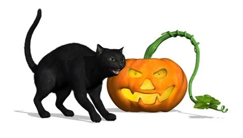 Black Cat with Pumpkin Stock Illustration