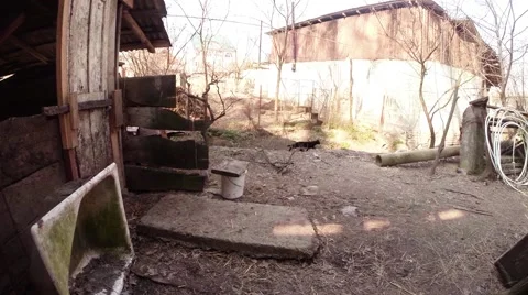 Black Cat Runs Across Inner Courtyard Panorama From Left to Right Stock Footage 60555105