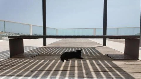 Black cat shading under bench in Albufeira Portugal Stock Photos
