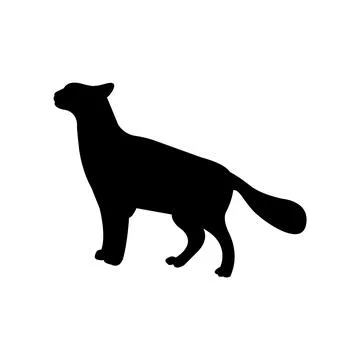 Black cat silhouette Stock Illustration