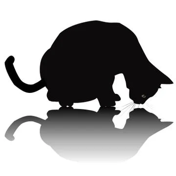 Black cat silhouette with shadow Stock Illustration