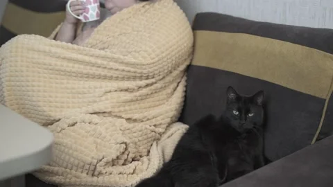 Black cat sits on the couch and licks its fur next to fat woman watching the Video stock 144650233