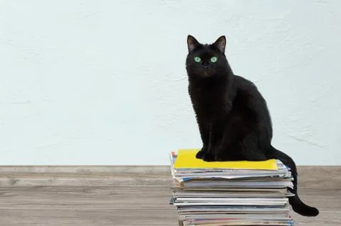 A black cat sits on a stack of magazines. In the room on the floor. Stock Photos