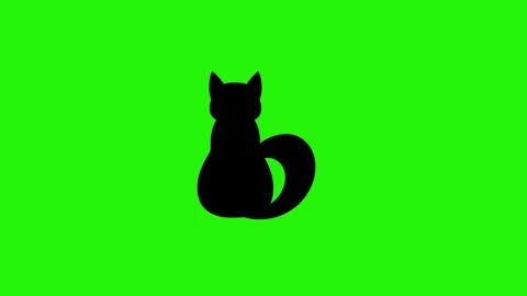 Black Cat Sitting Back View Tail Swaying Animation on Green Screen 4K Stock Footage 320764520