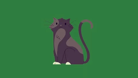 A black cat sitting on green background and top of green screen animated Видео 335065328