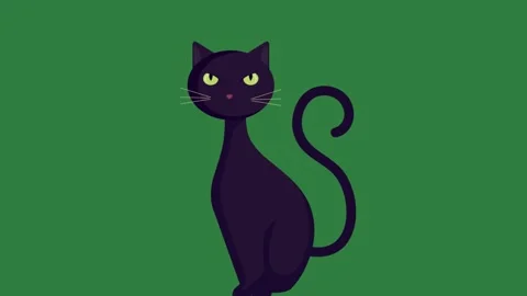 A black cat sitting on top of Chroma Key Green Screen design frame motion Stock Footage 337340809