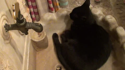 Black cat sleeping in stone washstand 2 Stock Footage