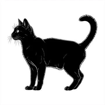 Black cat standing sideways with tail up vector Stock Illustration
