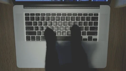 Black cat types on laptop keyboard. Top view on fluffy paws 스톡 동영상 97493647