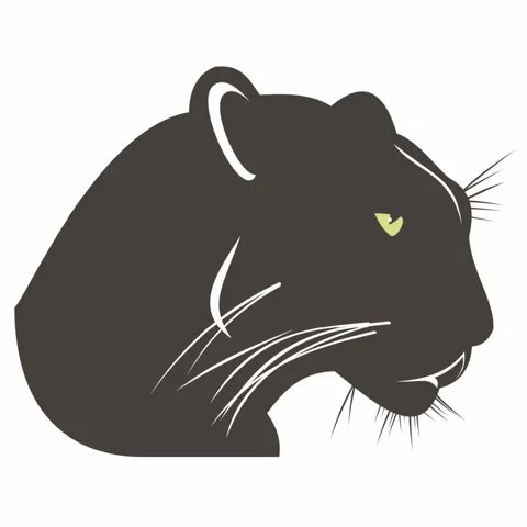 Black Cat Vector Animation Stock Footage 259500962