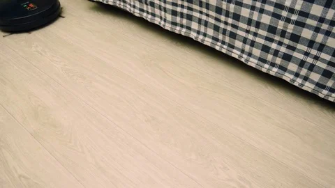 Black cat walking behind a robotic vacuum cleaner cleaning floor covering. 4K Stock Footage 79074600